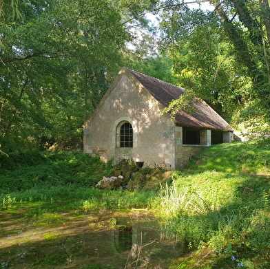 Chemin des écrivains : Romain Rolland