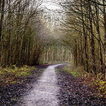 Randonneurs du Bazois 'Traîne-Savates' - CHATILLON-EN-BAZOIS