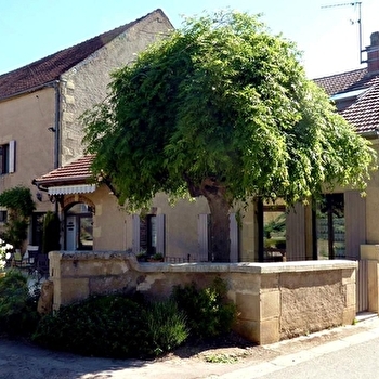 Le sarmentol - ASNOIS