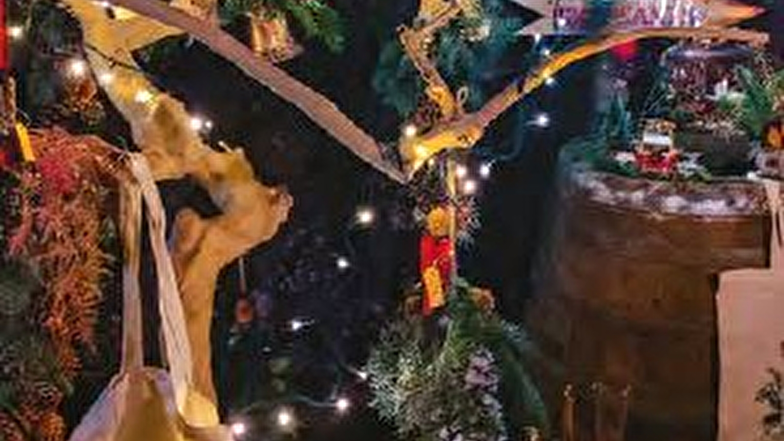 Marché de Noël 2025 de St Bris le Vineux