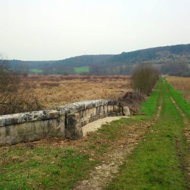 Le sentier du Marais d'Andryes 