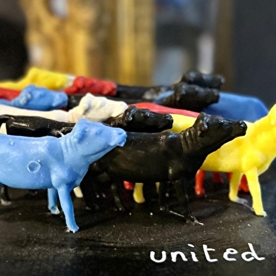 Marguerite - les petites vaches de Belin