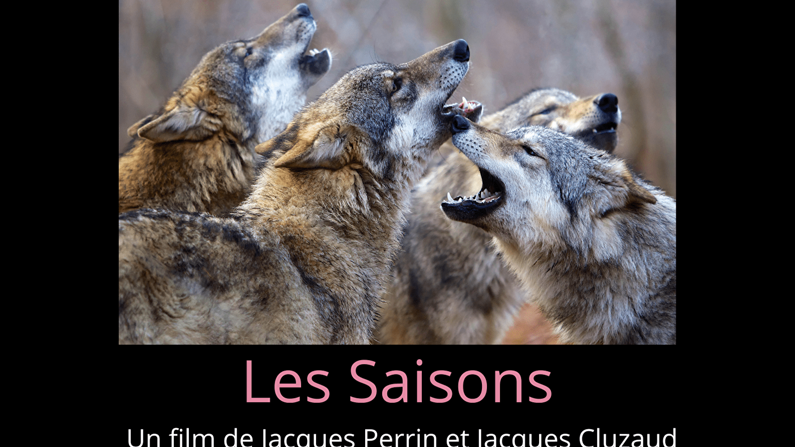 Film Les Saisons