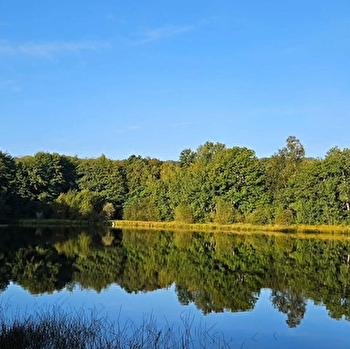 Etang du Merle - CRUX-LA-VILLE