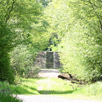 Île de Caqueret - DECIZE