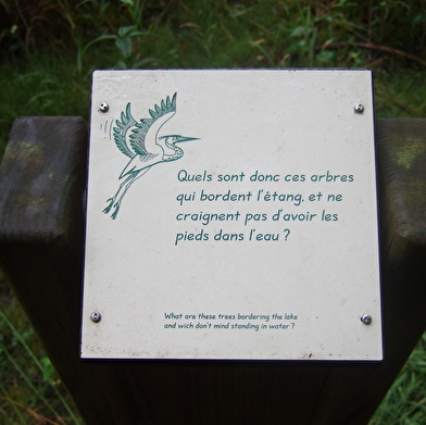 Balade en famille : le sentier Nature du Héron Cendré
