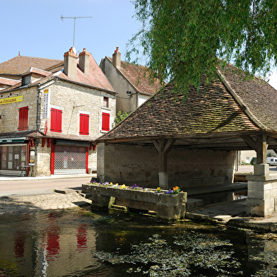 Chemin des écrivains : Romain Rolland