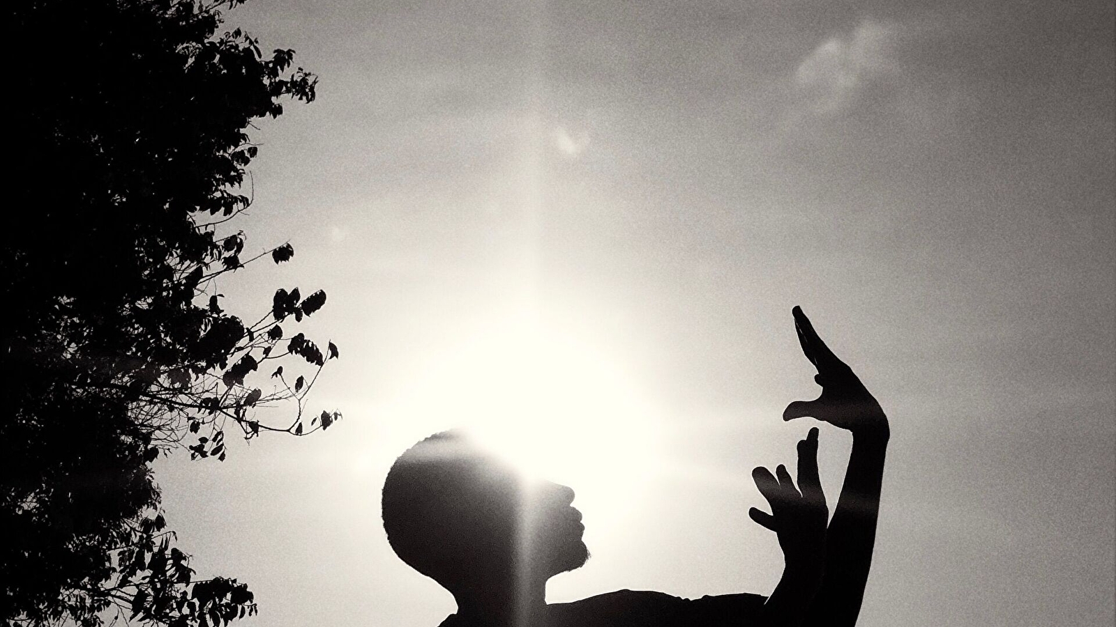 Cours de Qi Gong