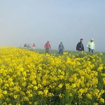 Comité Départemental de la Randonnée Pédestre - AUXERRE
