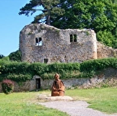 Vieux Château de Moulins-Engilbert