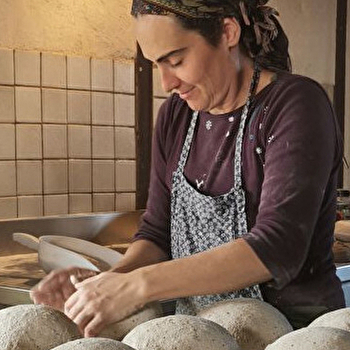 Du grain au pain, du champ au fournil ! - CHAMPVERT