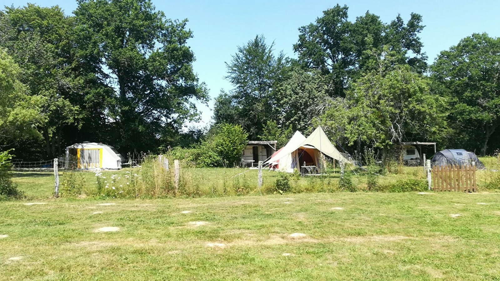Domaine Le Gui ( camping pour chien)