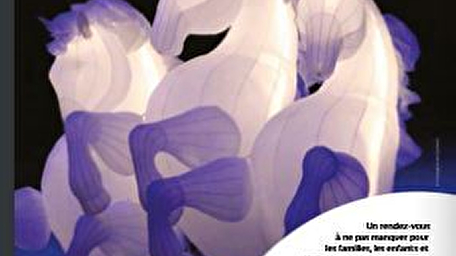 Parade de Noël d'Auxerre 2025 : 'Fiers à Cheval !'