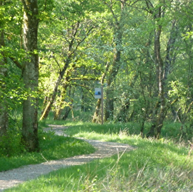 Balade en famille : le sentier-nature de la Libellule