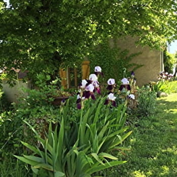 Gîte au Moulin Rameau - SAINT-SAULGE
