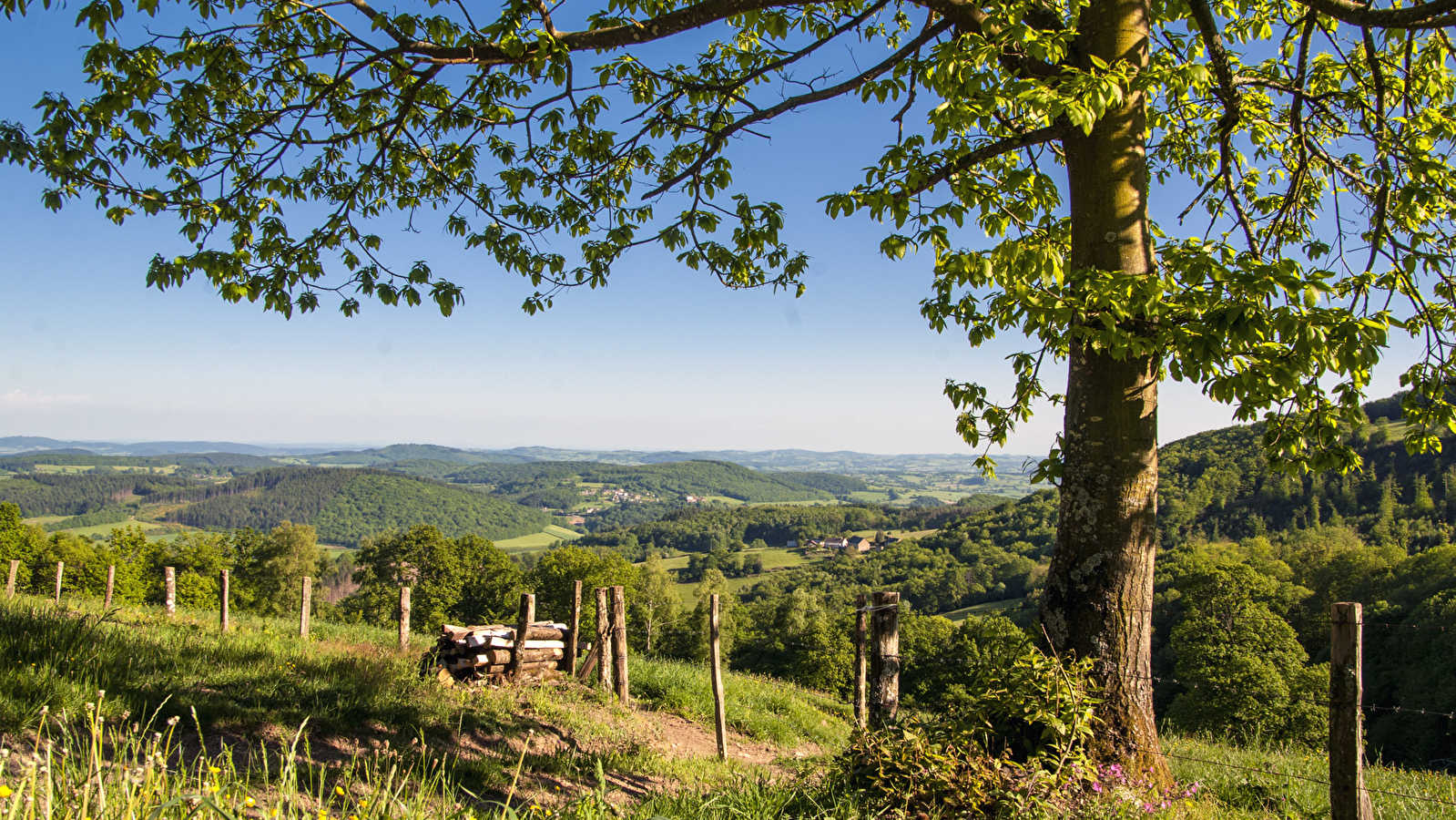 Panorama sur le Val de Loire 