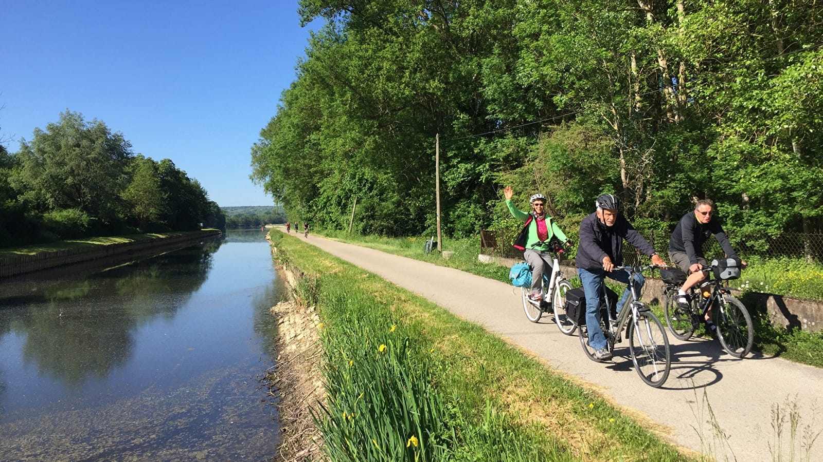 Journée Guidée à vélo - Vignoble Auxerrois et Chablisien