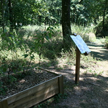 Sentier sensoriel de l'île de Caqueret - DECIZE (58300)