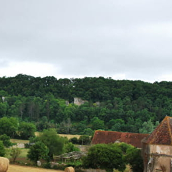 Chartreuse Notre Dame du Val Saint-Jean de Basseville - POUSSEAUX
