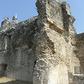 Ruines de l'ancien château des Comtes de Nevers - DECIZE