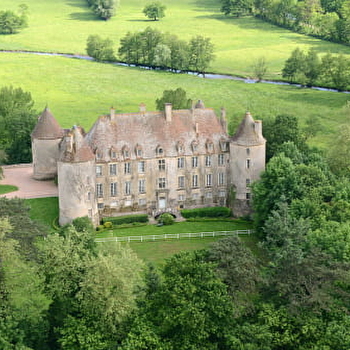 Château de Chitry-les-Mines - CHITRY-LES-MINES