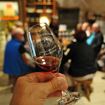 Borgnat - ESCOLIVES-SAINTE-CAMILLE