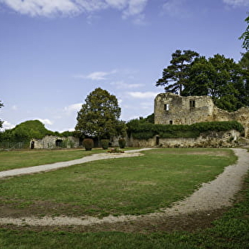 Vieux Château de Moulins-Engilbert - MOULINS-ENGILBERT