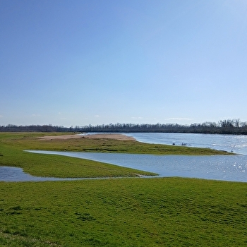 Panorama sur la Loire - CHARRIN