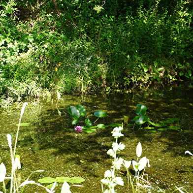 Eco-parc de la Nièvre