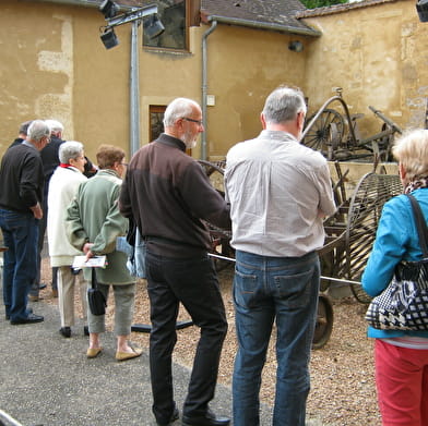 Visite Guidée Couplée du Musée de l'Elevage et du Charolais et du Marché au Cadran