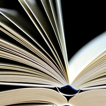 Boîte à livres - SURGY