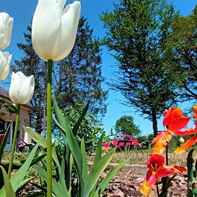 Chambre d’hôtes Étang de Baye
