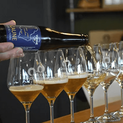 Tournée des brasseries locales