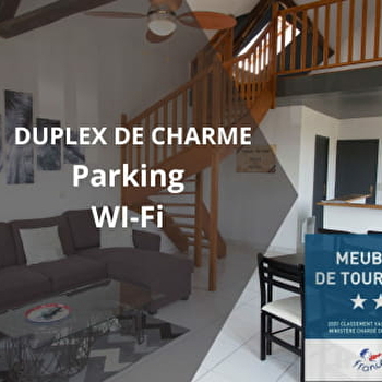 Duplex de Charme - AUXERRE