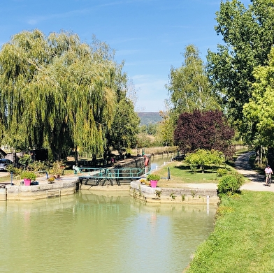 Balade à vélo - Le nord d'Auxerre | Auxerre - Joigny