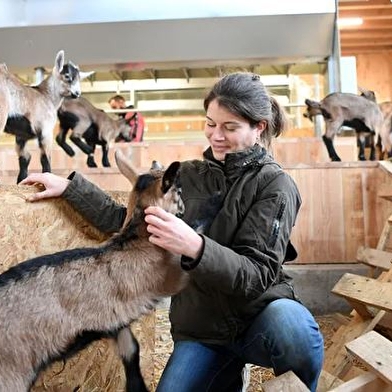 Vélo & Saveurs | 7 produits régionaux