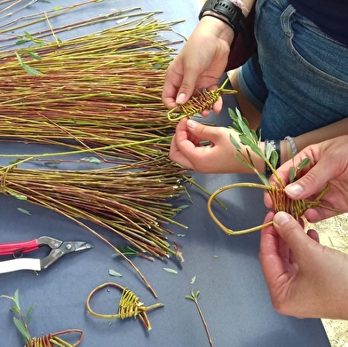 Tressage vagabond 'Vieille Loire'