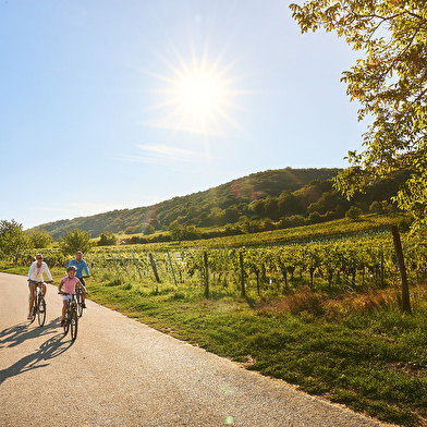 ÉNIGME EN FAMILLE | DÉCOUVREZ AUXERRE !