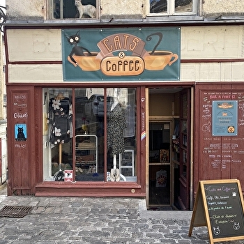 Bar à chats 'Cats and Coffee' - CLAMECY